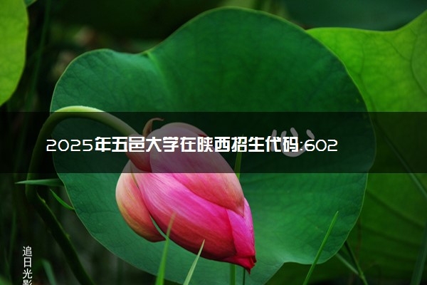 2025年五邑大学在陕西招生代码：6028 专业代码及报考指南