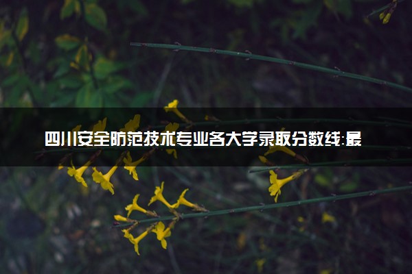 四川安全防范技术专业各大学录取分数线：最低406分能上 开设院校及位次