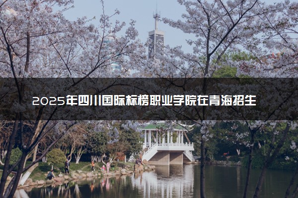 2025年四川国际标榜职业学院在青海招生代码：5118 专业代码及报考指南