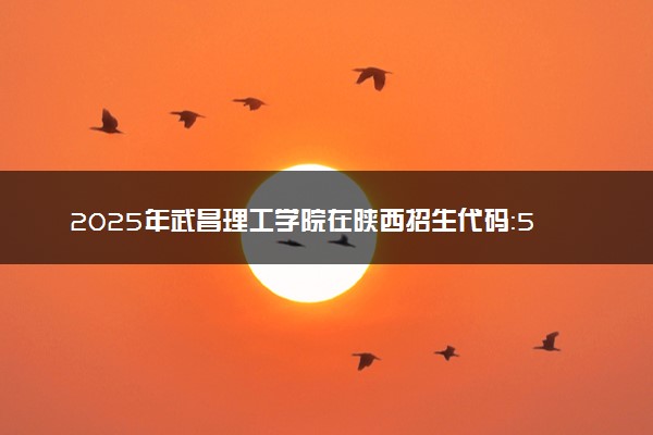2025年武昌理工学院在陕西招生代码：5036 专业代码及报考指南