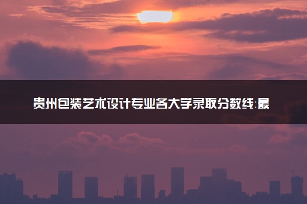 贵州包装艺术设计专业各大学录取分数线：最低416分能上 开设院校及位次