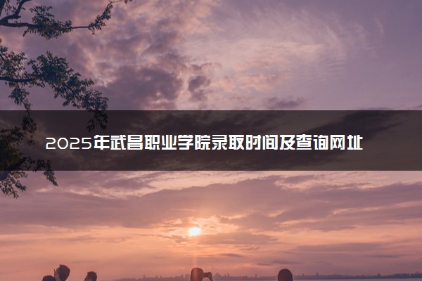 2025年武昌职业学院录取时间及查询网址入口 录取结果什么时候公布