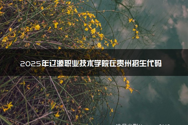 2025年辽源职业技术学院在贵州招生代码：1513 专业代码及报考指南