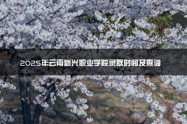 2025年云南新兴职业学院录取时间及查询网址入口 录取结果什么时候公布