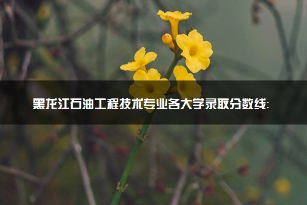 黑龙江石油工程技术专业各大学录取分数线：最低318分能上 开设院校及位次