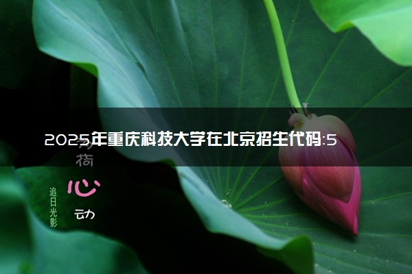 2025年重庆科技大学在北京招生代码：5027 专业代码及报考指南