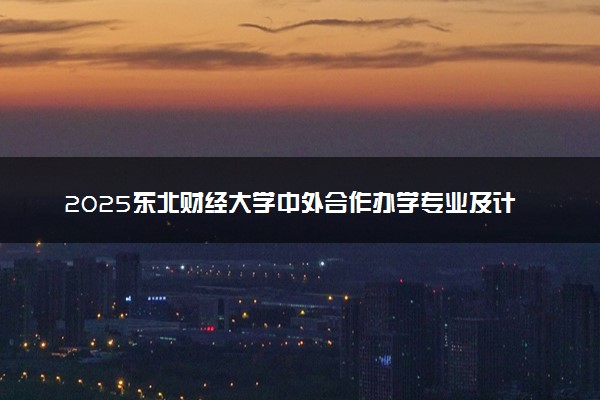 2025东北财经大学中外合作办学专业及计划 学费多少钱