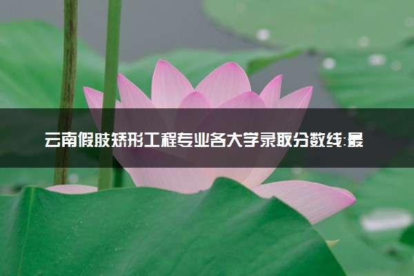 云南假肢矫形工程专业各大学录取分数线：最低492分能上 开设院校及位次