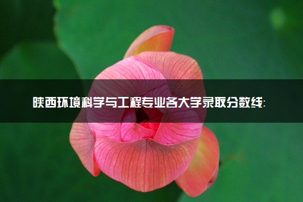 陕西环境科学与工程专业各大学录取分数线：最低387分能上 开设院校及位次