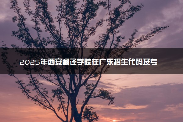 2025年西安翻译学院在广东招生代码及专业代码 西安翻译学院广东代码是多少？怎么查询？