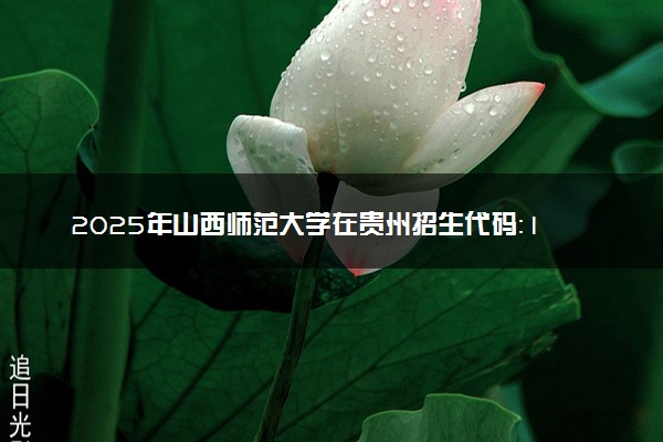 2025年山西师范大学在贵州招生代码：1955 专业代码及报考指南