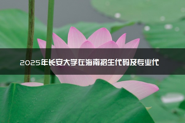 2025年长安大学在海南招生代码及专业代码 长安大学海南代码是多少？怎么查询？