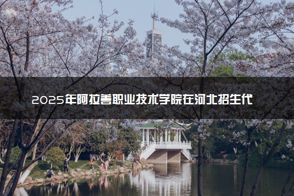2025年阿拉善职业技术学院在河北招生代码及专业代码 阿拉善职业技术学院河北代码是多少？怎么查询？