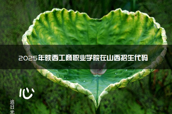 2025年陕西工商职业学院在山西招生代码及专业代码 陕西工商职业学院山西代码是多少？怎么查询？