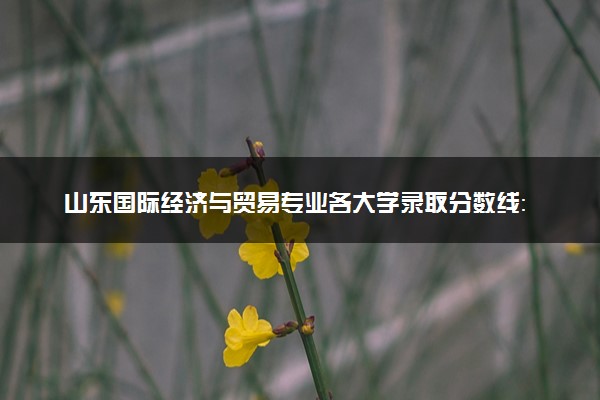 山东国际经济与贸易专业各大学录取分数线：最低152分能上 开设院校及位次