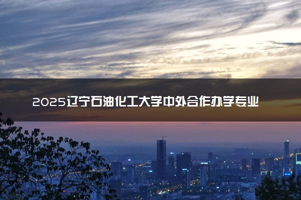 2025辽宁石油化工大学中外合作办学专业及计划 学费多少钱