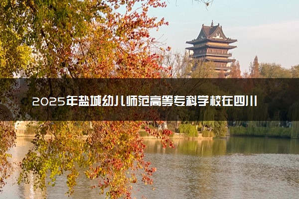 2025年盐城幼儿师范高等专科学校在四川招生代码：3927 专业代码及报考指南