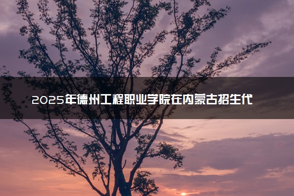 2025年德州工程职业学院在内蒙古招生代码及专业代码 德州工程职业学院内蒙古代码是多少？怎么查询？