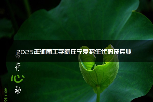 2025年河南工学院在宁夏招生代码及专业代码 河南工学院宁夏代码是多少？怎么查询？