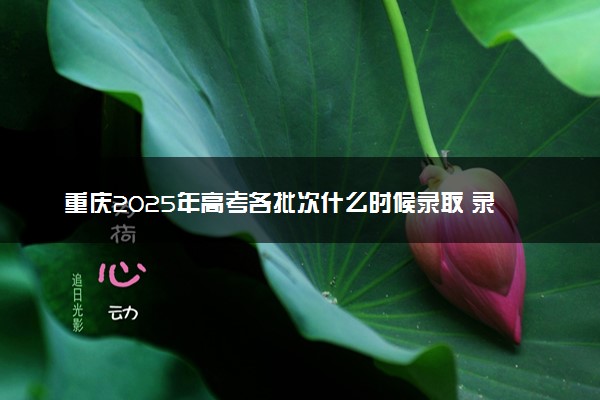 重庆2025年高考各批次什么时候录取 录取时间安排表汇总