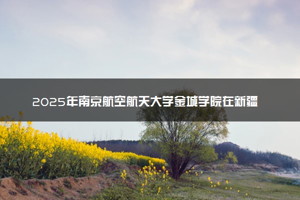 2025年南京航空航天大学金城学院在新疆招生代码及专业代码 南京航空航天大学金城学院新疆代码是多少？怎么查询？
