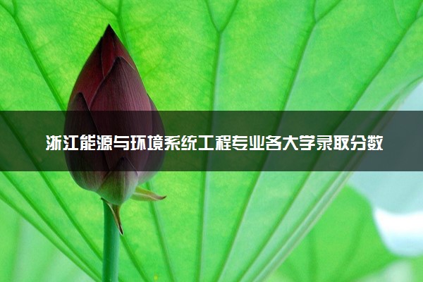 浙江能源与环境系统工程专业各大学录取分数线：最低520分能上 开设院校及位次