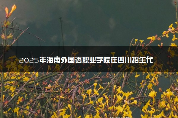 2025年海南外国语职业学院在四川招生代码：4659 专业代码及报考指南