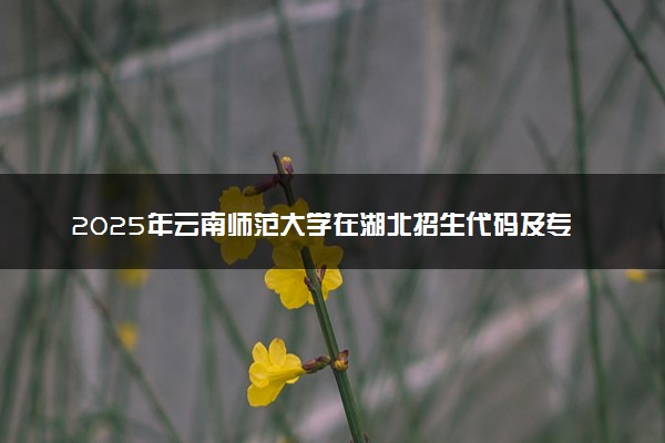 2025年云南师范大学在湖北招生代码及专业代码 云南师范大学湖北代码是多少？怎么查询？