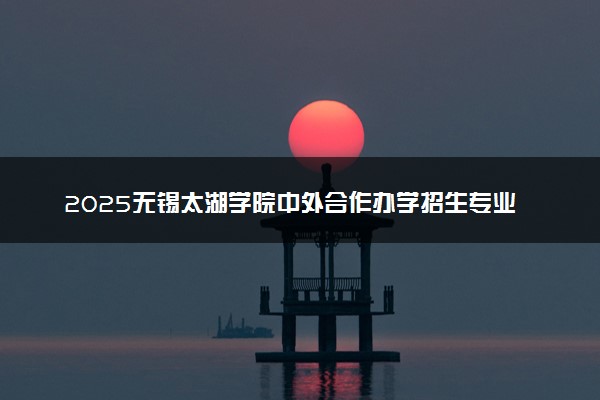 2025无锡太湖学院中外合作办学招生专业及计划 学费多少钱