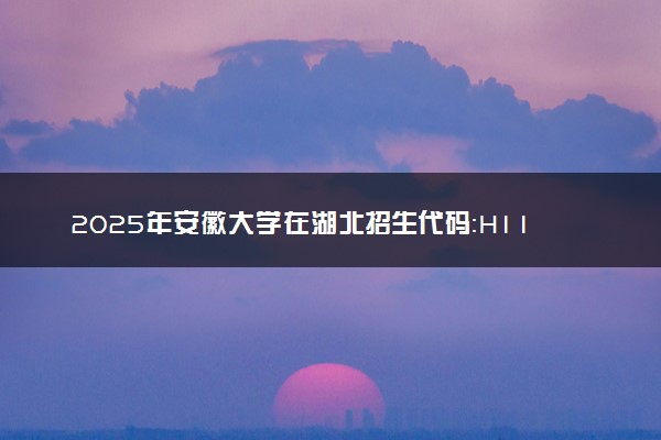 2025年安徽大学在湖北招生代码：H116 专业代码及报考指南
