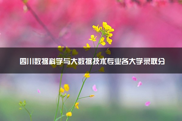 四川数据科学与大数据技术专业各大学录取分数线：最低460分能上 开设院校及位次
