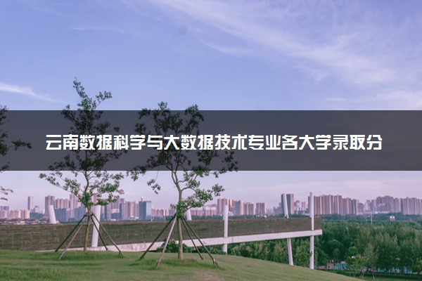 云南数据科学与大数据技术专业各大学录取分数线：最低395分能上 开设院校及位次
