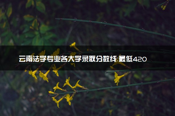 云南法学专业各大学录取分数线：最低420分能上 开设院校及位次