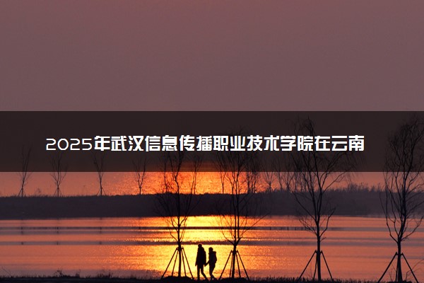 2025年武汉信息传播职业技术学院在云南招生代码：4288 专业代码及报考指南
