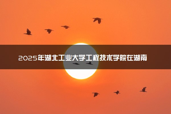 2025年湖北工业大学工程技术学院在湖南招生代码：4243 专业代码及报考指南