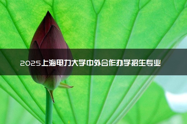 2025上海电力大学中外合作办学招生专业及计划 学费多少钱